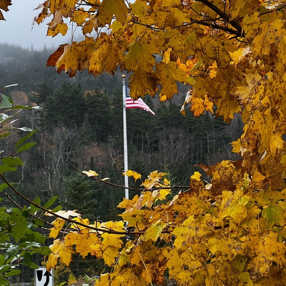 Meet your Posher, Gigi - Picture 5 of 12